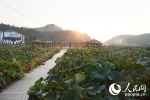 赣南大地：绿水青山映 满山花果香 - 水利厅