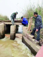 鄱阳湖保护区启动“协议管湖” 为候鸟留足“口粮” - 中国江西网